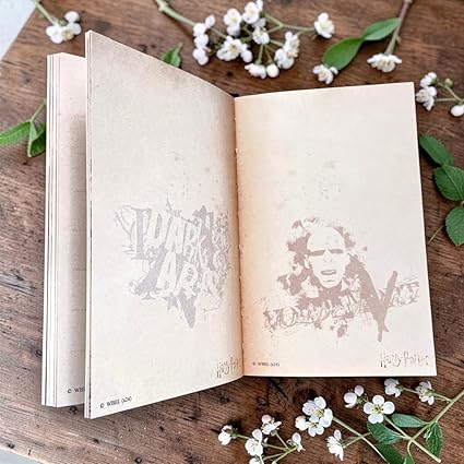 Harry Potter Hogwarts A5 Diary Notebook | Premium Hard Cover Journal | Ruled Pages Writing Notebook for School, Office & Gift