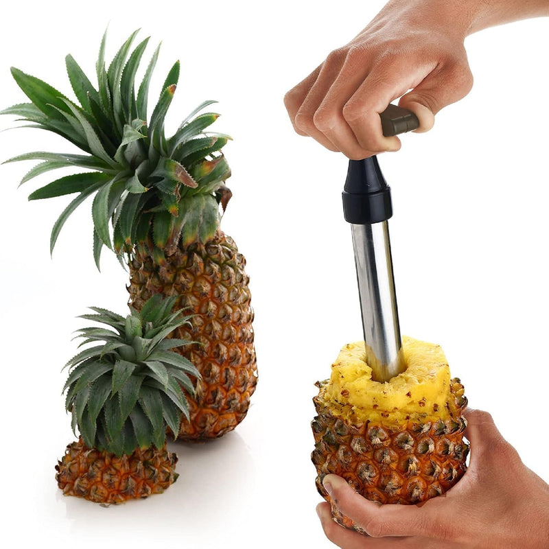 Pineapple Cutter, Peeler Slicer, Cutter Machine, Pineapple Peeler Pineapple Chopper  (1 PINE APPLE CUTTER)