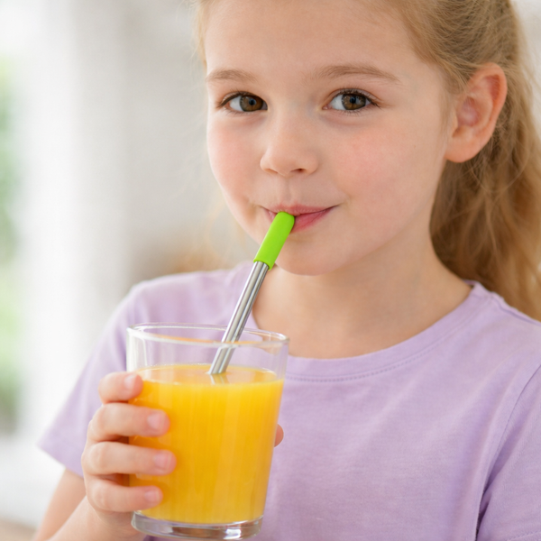 Short Stainless Steel Reusable Wide Straw  2 PCS