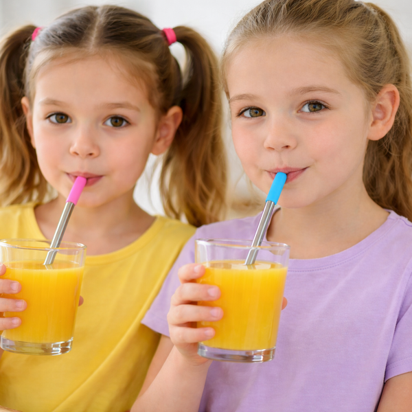 Short Stainless Steel Reusable Wide Straw  2 PCS