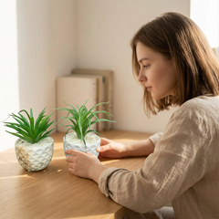 Aloe Vera Artificial Plant for Home Decoration