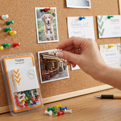 Paper Colour Board Clip