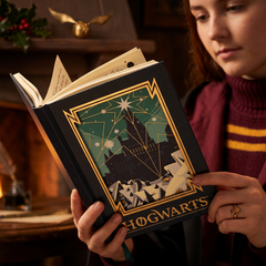 Harry Potter Hogwarts A5 Diary Notebook | Premium Hard Cover Journal | Ruled Pages Writing Notebook for School, Office & Gift