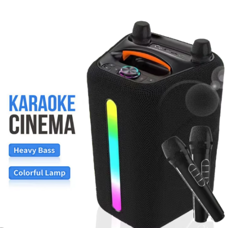 TWS 2 WIRELESS MIC DUAL 6.5 WIRELESS RECHARGEABLE SPEAKER ABS-6205 500W