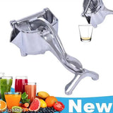 Fruit Press Juicer