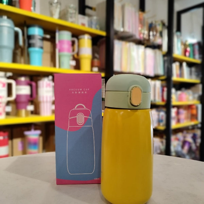 Stainless Steel Temperature Bottle (420ml)